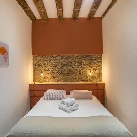 La Baronne- Chaleureux T2 Nantes